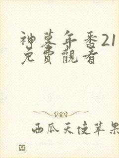 神墓年番21集免费观看