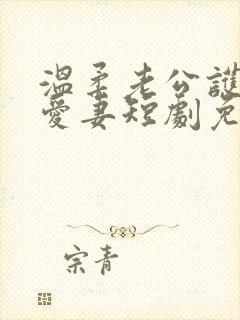 温柔老公护短又爱妻短剧免费观看