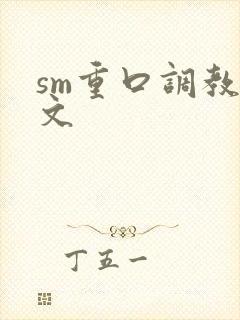 sm重口调教h文封面