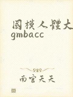 国模人体大尺度gmbacc