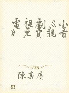 电视剧《小敏家》免费观看