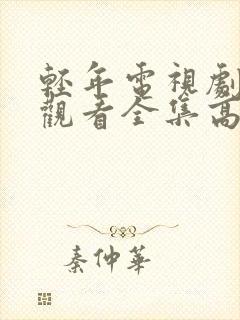 轻年电视剧免费观看全集高清版