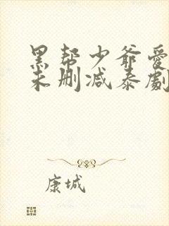 黑帮少爷爱上我未删减泰剧封面