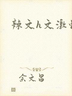 辣文h文激情文封面