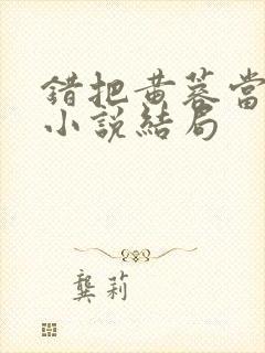 错把黄蓉当阿衡小说结局