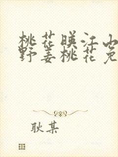 桃花映江山沈在野姜桃花免费阅读小说