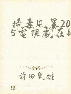 扫毒风暴2025电视剧在线播放免费观看