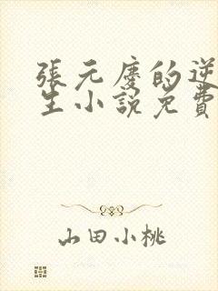 张元庆的逆袭人生小说免费阅读