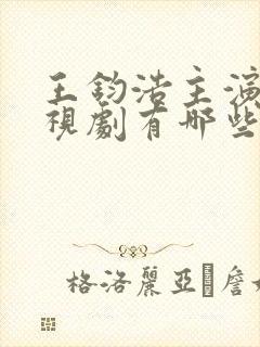 王钧浩主演的电视剧有哪些