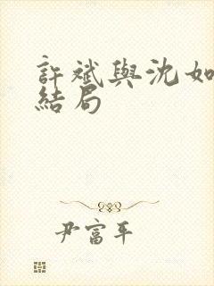许斌与沈如玉大结局