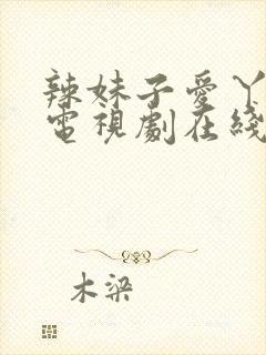 辣妹子爱丫爱丫电视剧在线观看