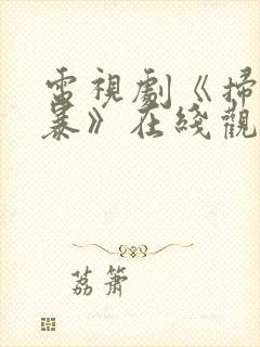 电视剧《扫黑风暴》在线观看封面