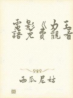 电影《力王》国语免费观看