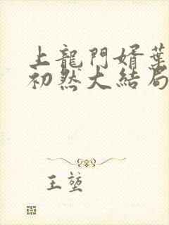 上龙门婿叶辰萧初然大结局封面
