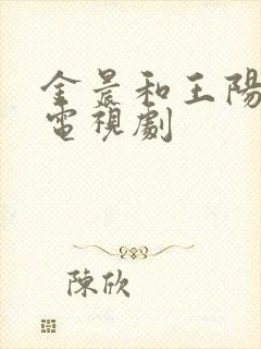 金晨和王阳演的电视剧
