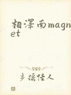 相泽南magnet