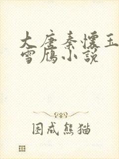 大唐秦怀玉娶李雪雁小说