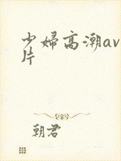 少妇高潮av毛片