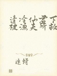 清冷仙君下山后被渔夫所救封面