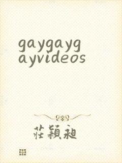 gaygaygayvideos