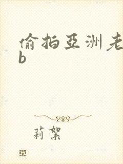 偷拍亚洲老熟女b