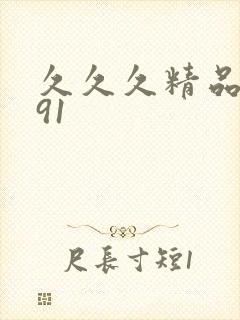 久久久精品久久91