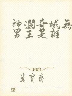 神澜奇域无双珠男主是谁