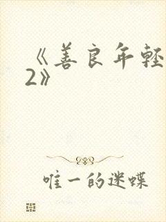 《善良年轻嫂子2》封面