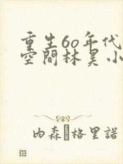 重生6o年代带空间林昊小说