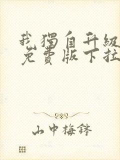 我独自升级漫画免费版下拉式漫画