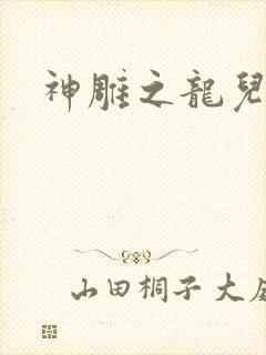神雕之龙儿别传封面