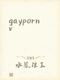 gaypornv