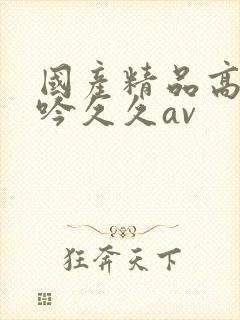 国产精品高潮呻吟久久av