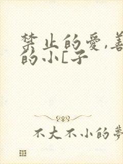 禁止的爱,善良的小[子
