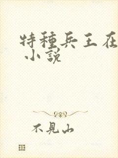 特种兵王在山村 小说