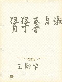狠狠五月激情六月丁香封面