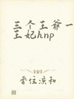 三个王爷一起上王妃hnp