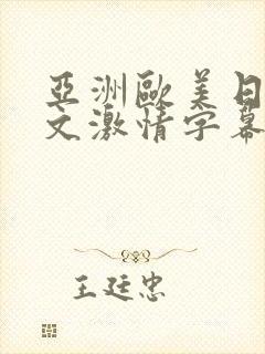 亚洲欧美日韩中文激情字幕