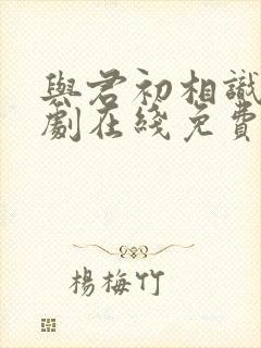 与君初相识电视剧在线免费观看全集封面