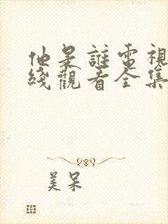 他是谁电视剧在线观看全集免费播放