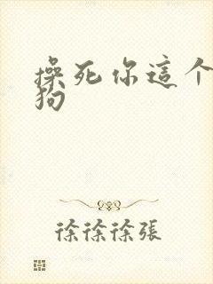 操死你这个小母狗