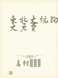 东北大炕狗儿全文免费