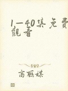 1—40集免费观看