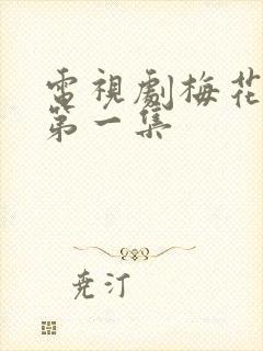 电视剧梅花儿香第一集封面