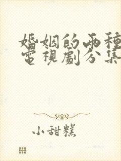 婚姻的两种猜想电视剧分集剧情介绍