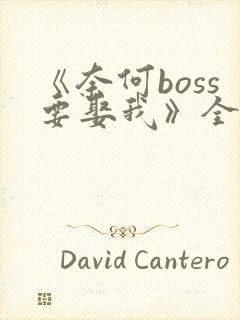 《奈何boss要娶我》全集