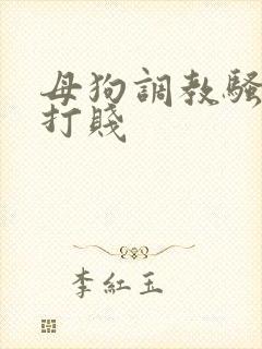 母狗调教骚屁眼打贱