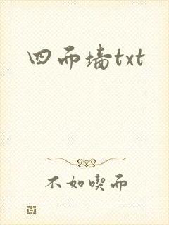 四面墙txt