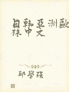 日韩亚洲欧美丝袜中文