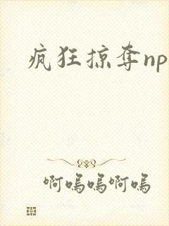 疯狂掠夺npc